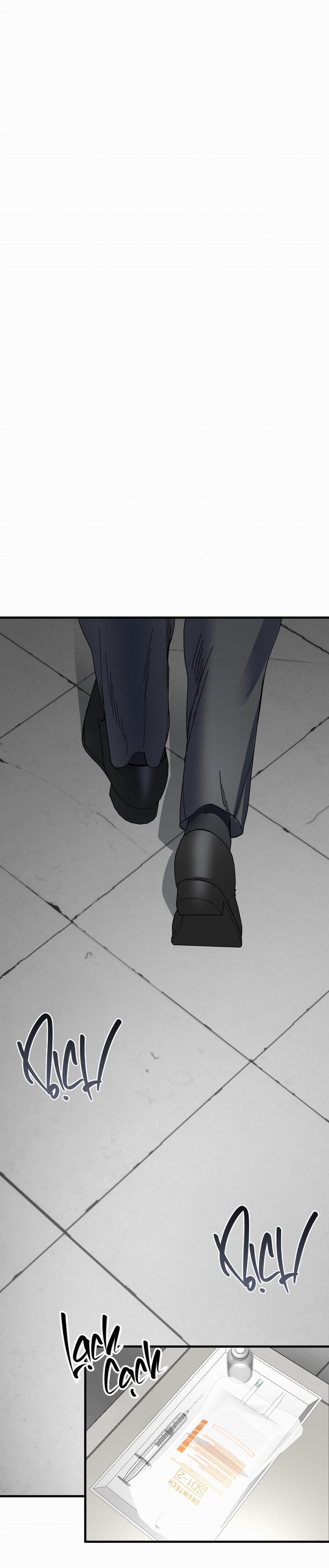 SỰ TRÓI BUỘC CỦA YAN 12 trang 0