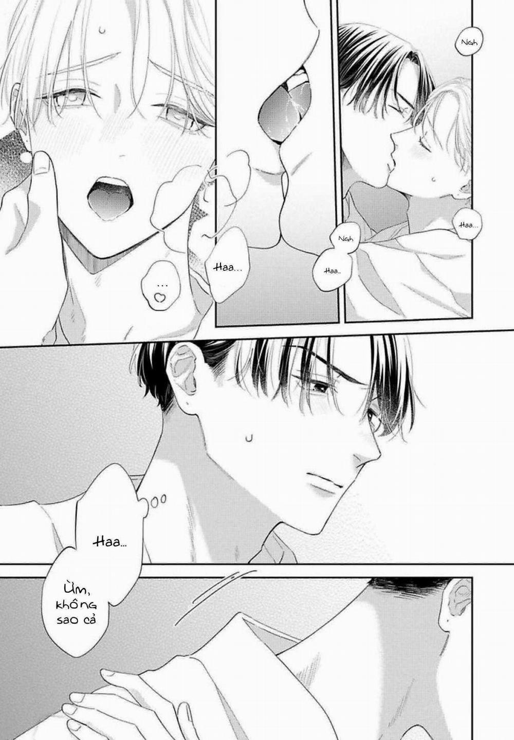 Sức Hút Khó Cưỡng 8 trang 13