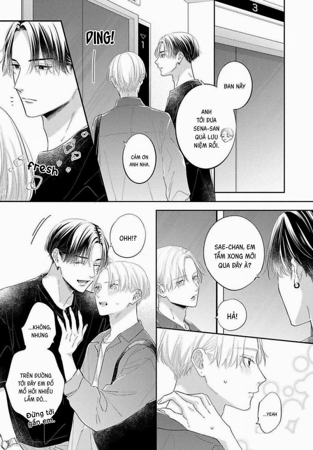 Sức Hút Khó Cưỡng 9 trang 19