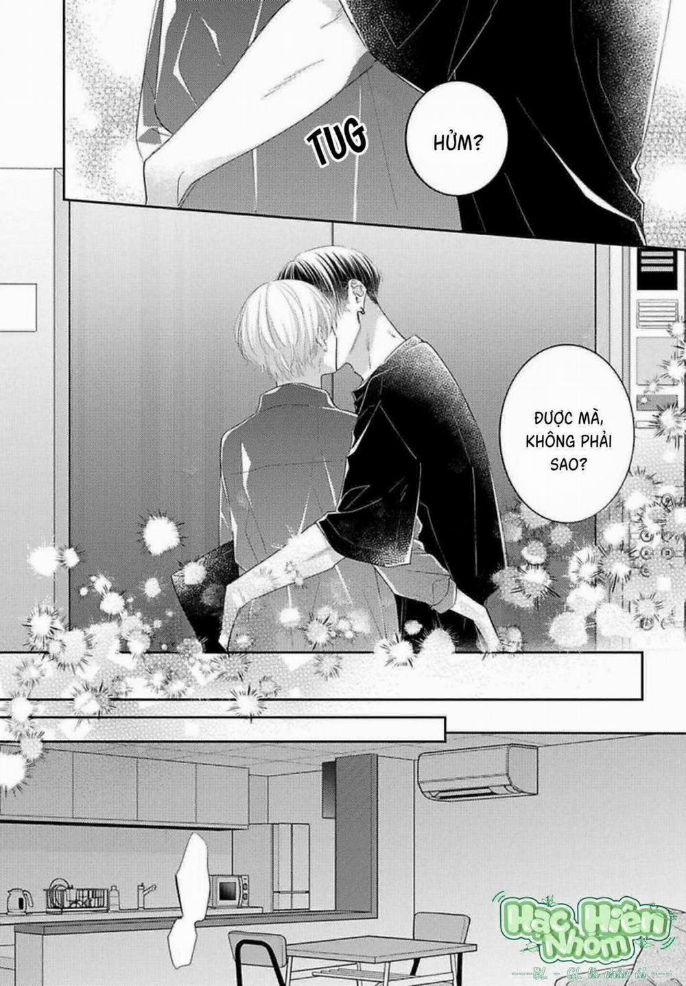 Sức Hút Khó Cưỡng 9 trang 20