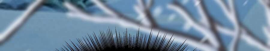 Sức Mạnh Của Kiếm Thần 16 trang 23