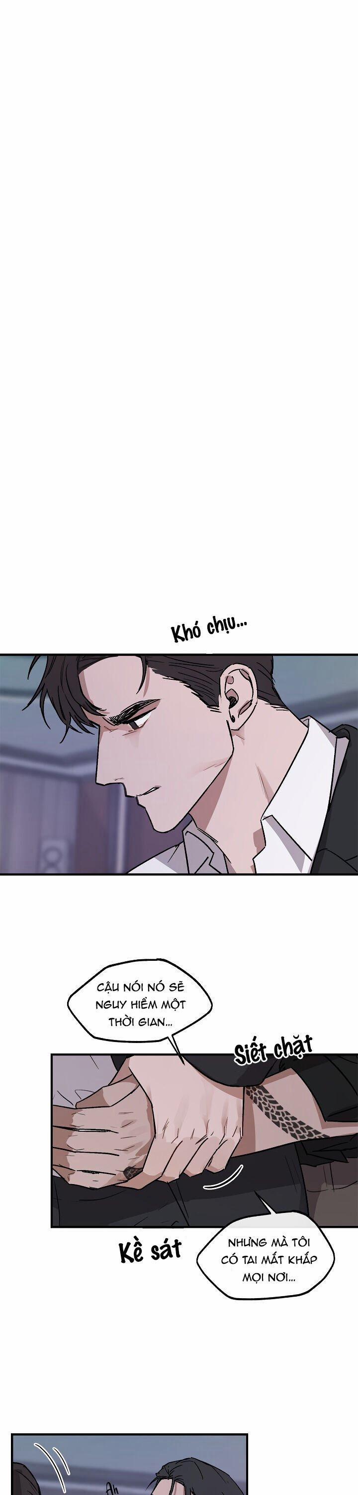 Sức Nặng Của Sự Phản Bội 2 trang 0