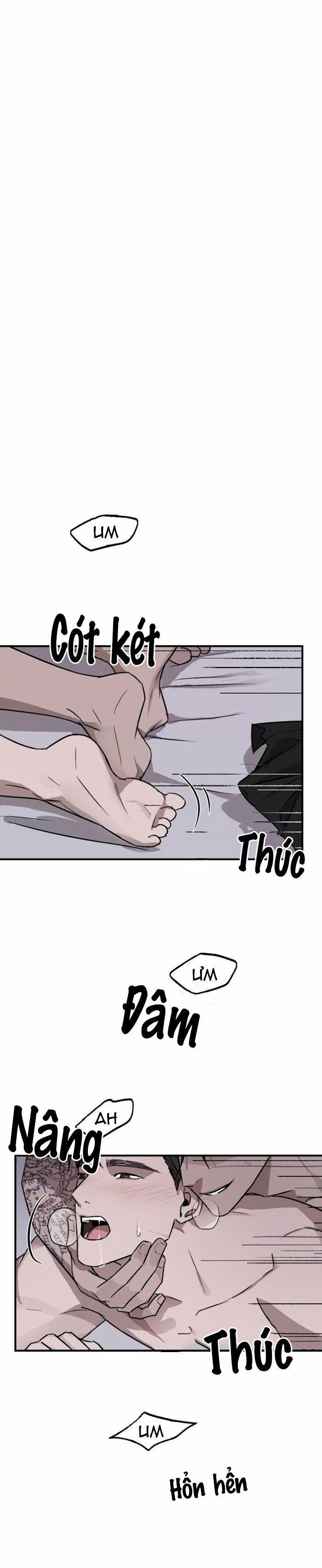 Sức Nặng Của Sự Phản Bội 3 trang 0