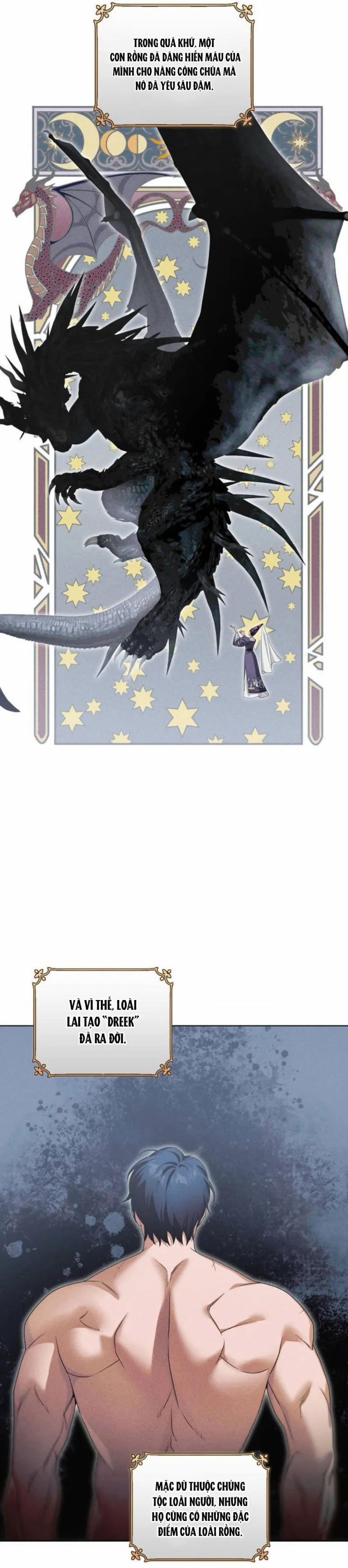 Sức Nóng Của Dreek 1 trang 0