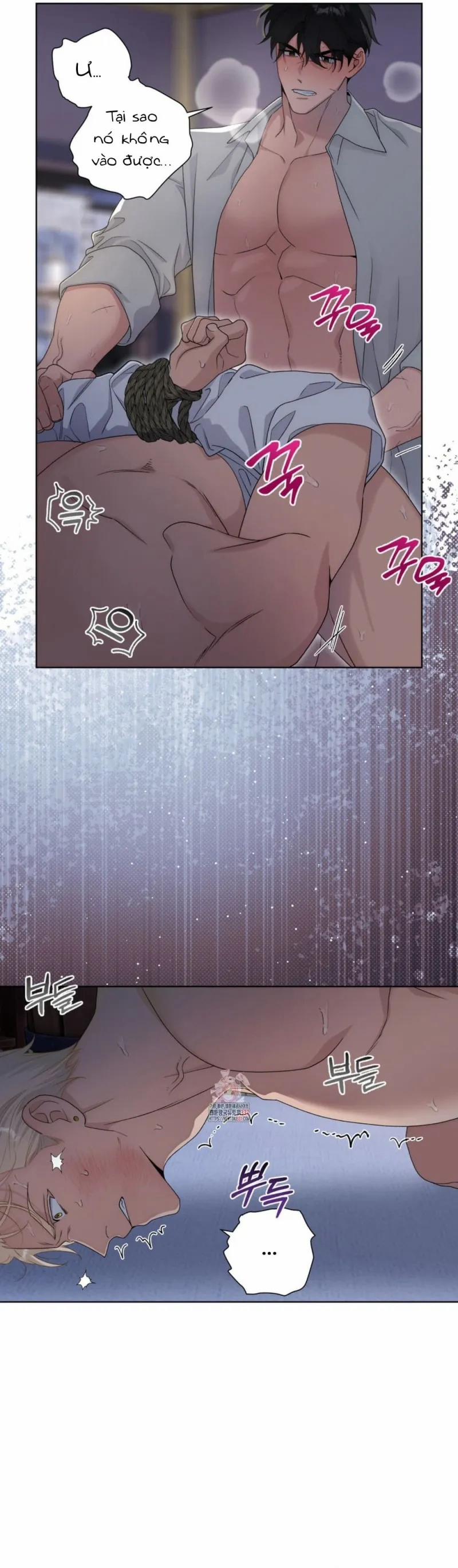 Sức Nóng Của Dreek 2 trang 2