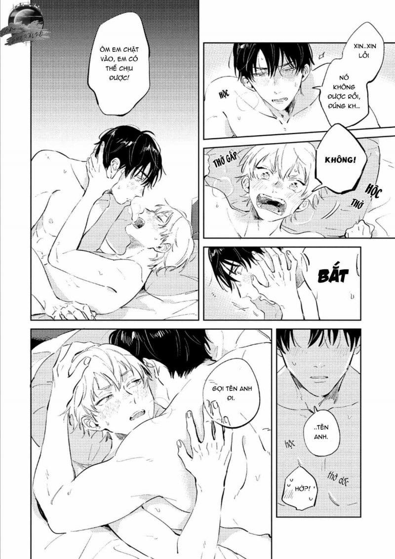 Sugar dog life 7 trang 11