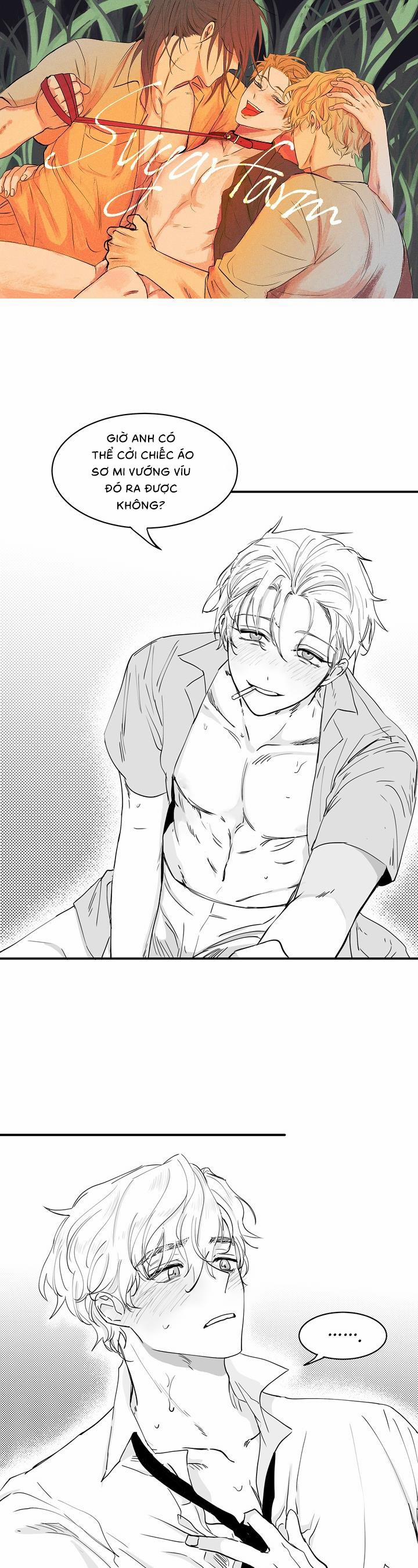 Sugar Farm 3 trang 0