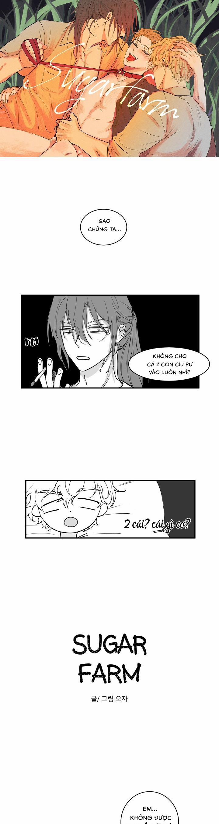 Sugar Farm 4 trang 0