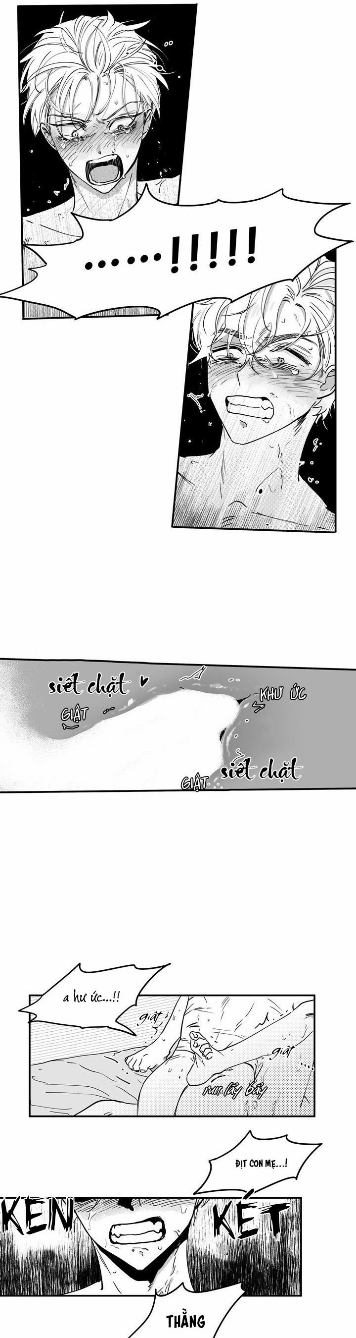 Sugar Farm 4 trang 5