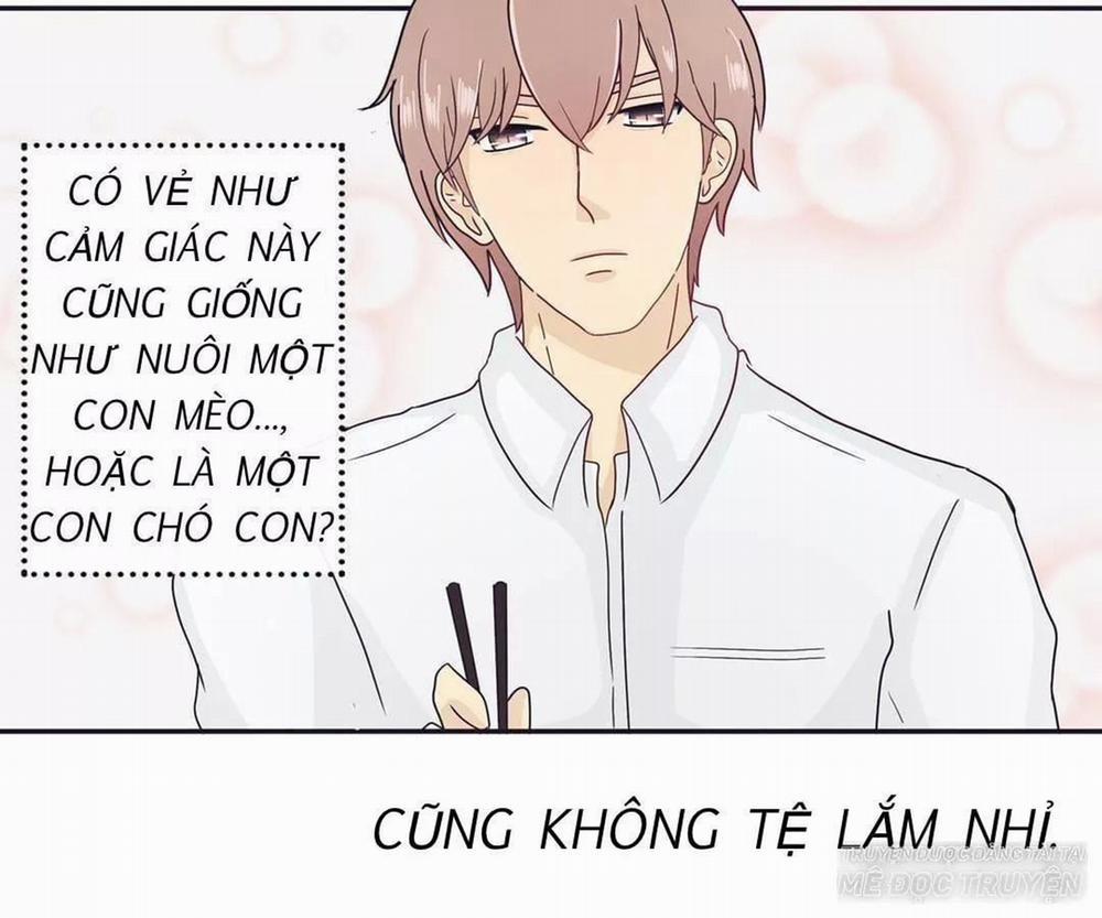 Sugar Pet 3 trang 15