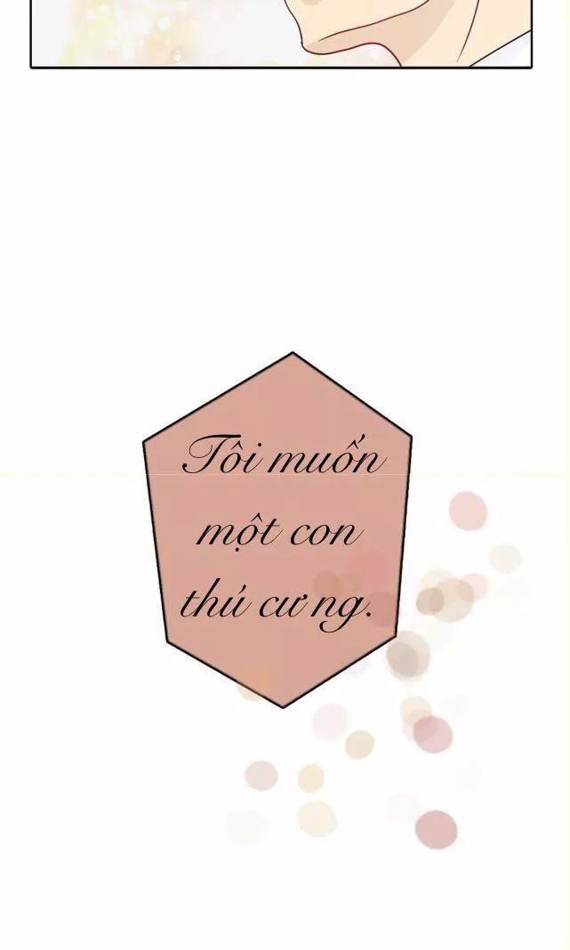 Sugar Pet 3 trang 26
