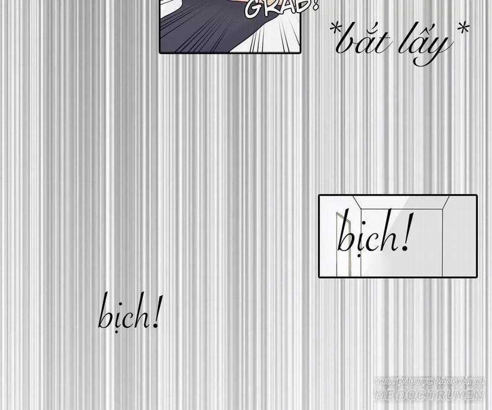 Sugar Pet 4 trang 20