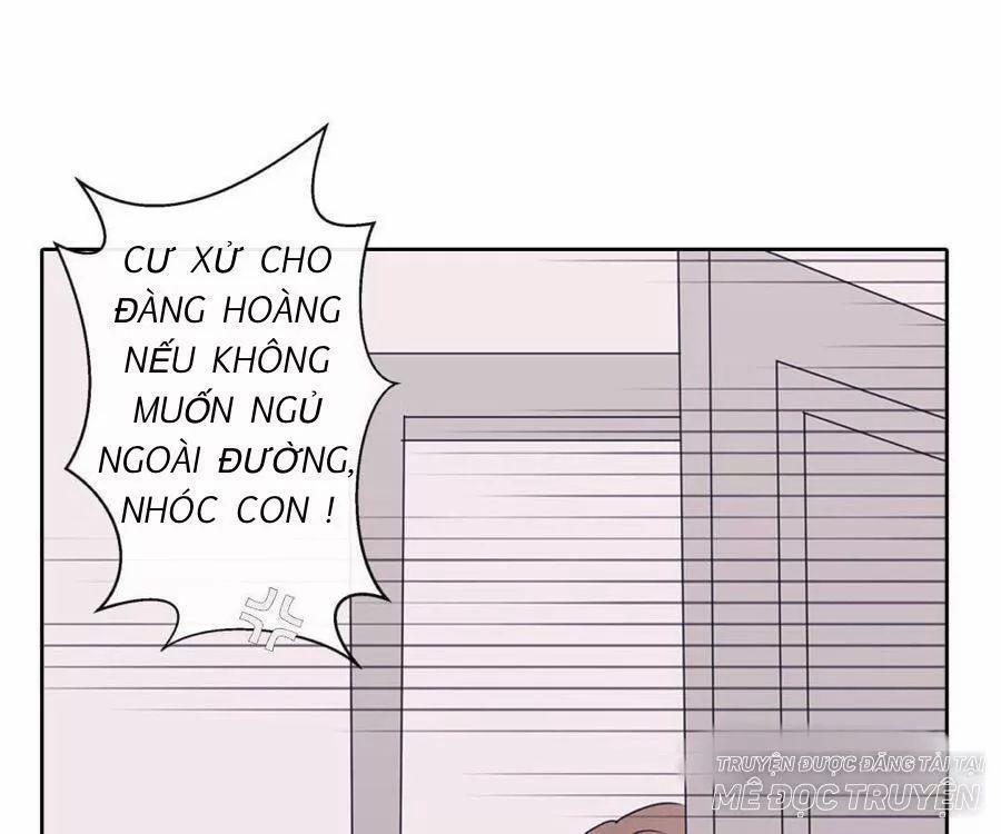 Sugar Pet 4 trang 25