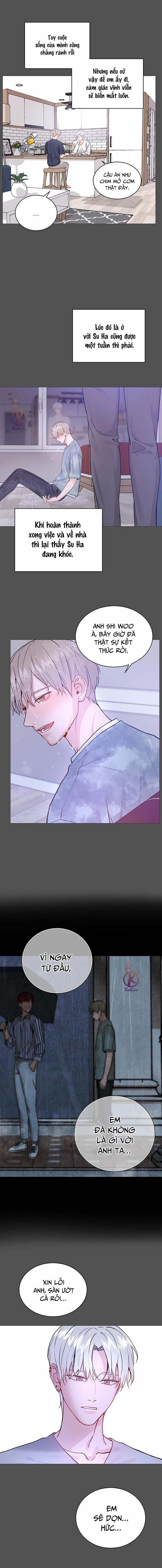 Suha của tôi 124 trang 11