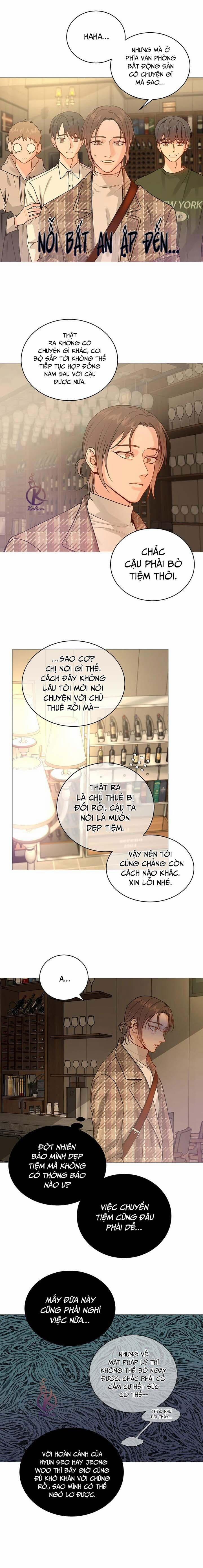 Suha của tôi 126 trang 10