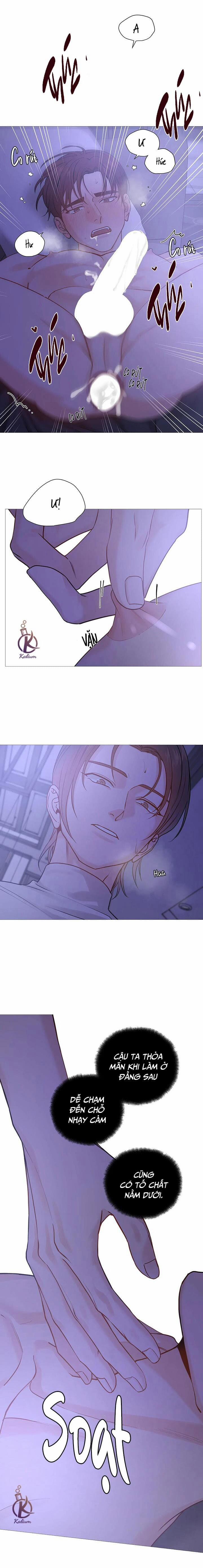 Suha của tôi 128 trang 13