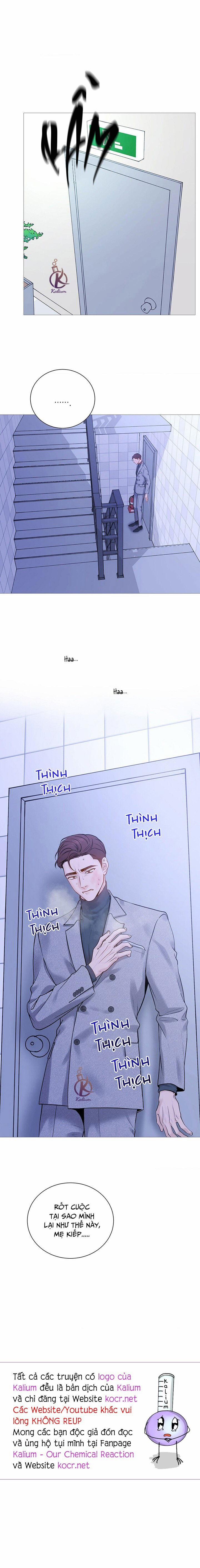 Suha của tôi 141 trang 9