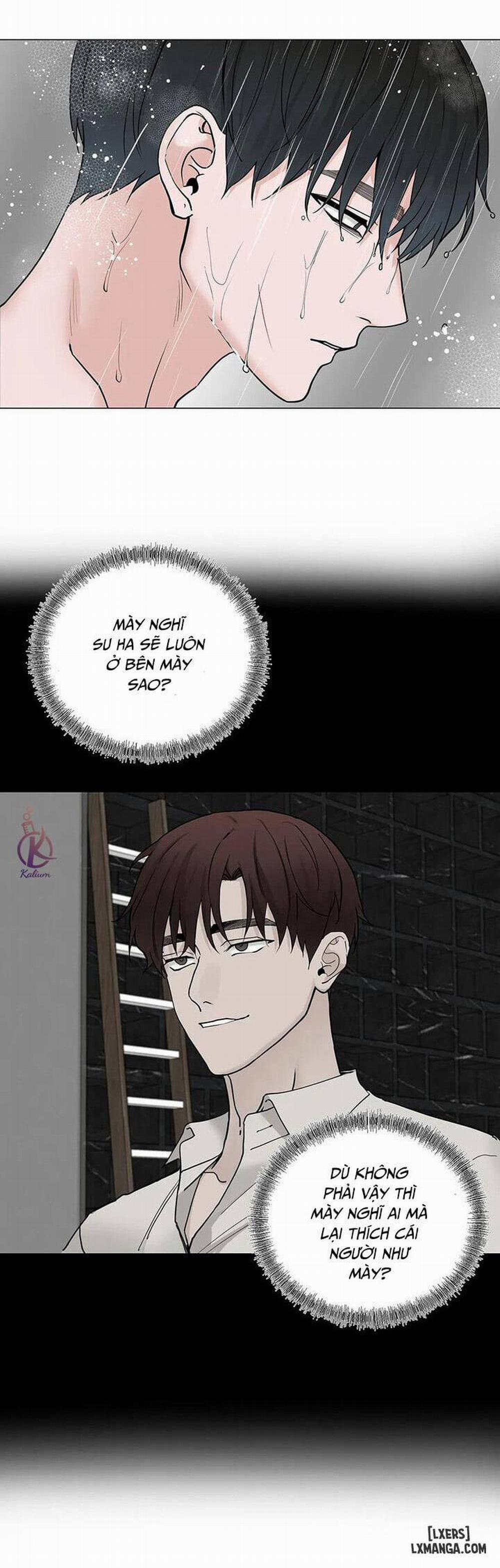 Suha của tôi 97 trang 13