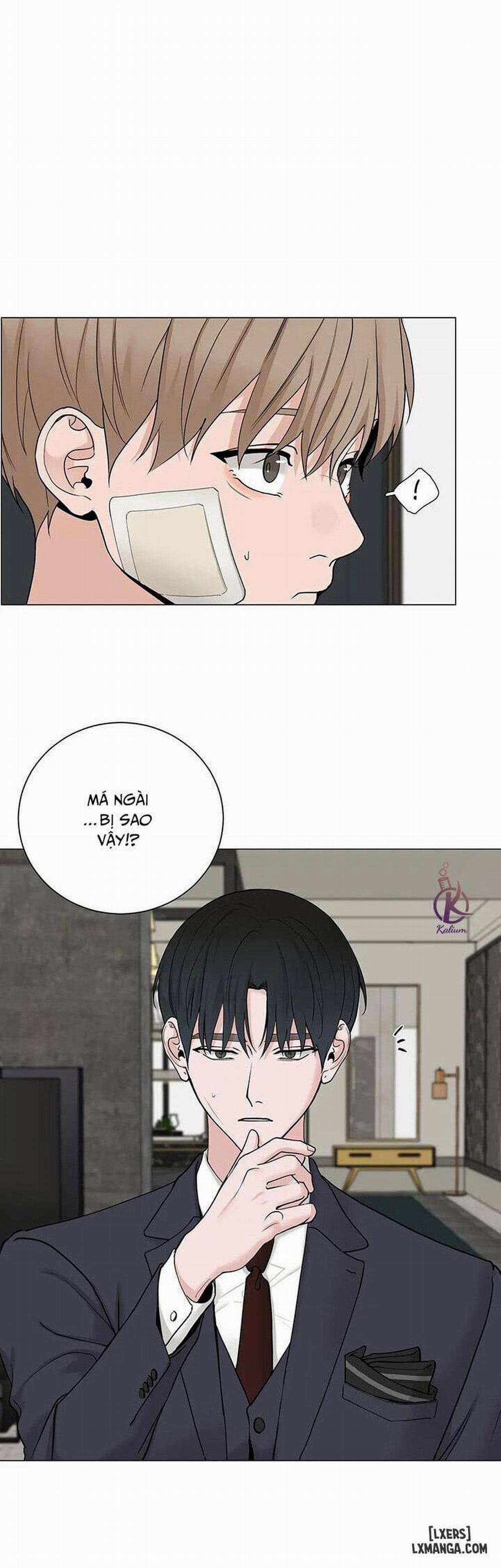 Suha của tôi 97 trang 8