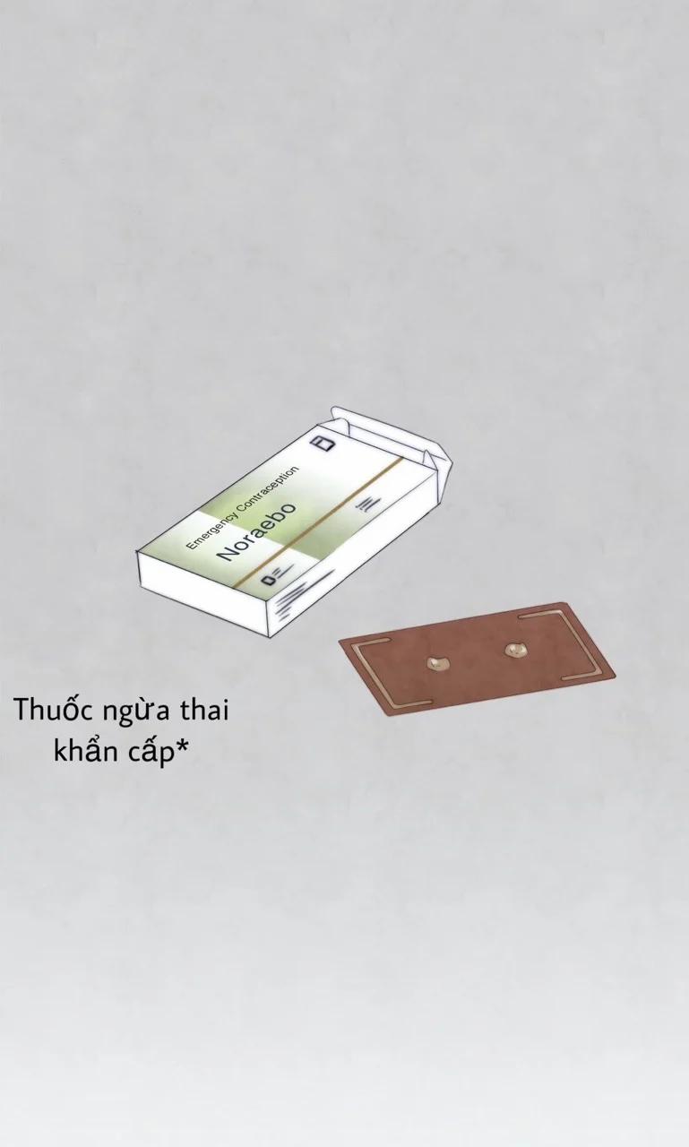 Summer Solstice Point 0 0 10 trang 60