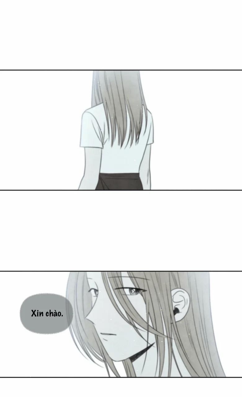 Summer Solstice Point 0 0 11 trang 49