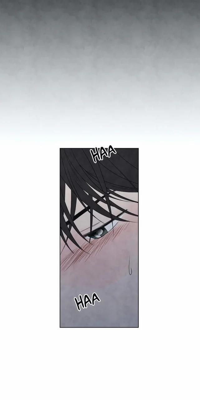 Summer Solstice Point 0 0 12 trang 36