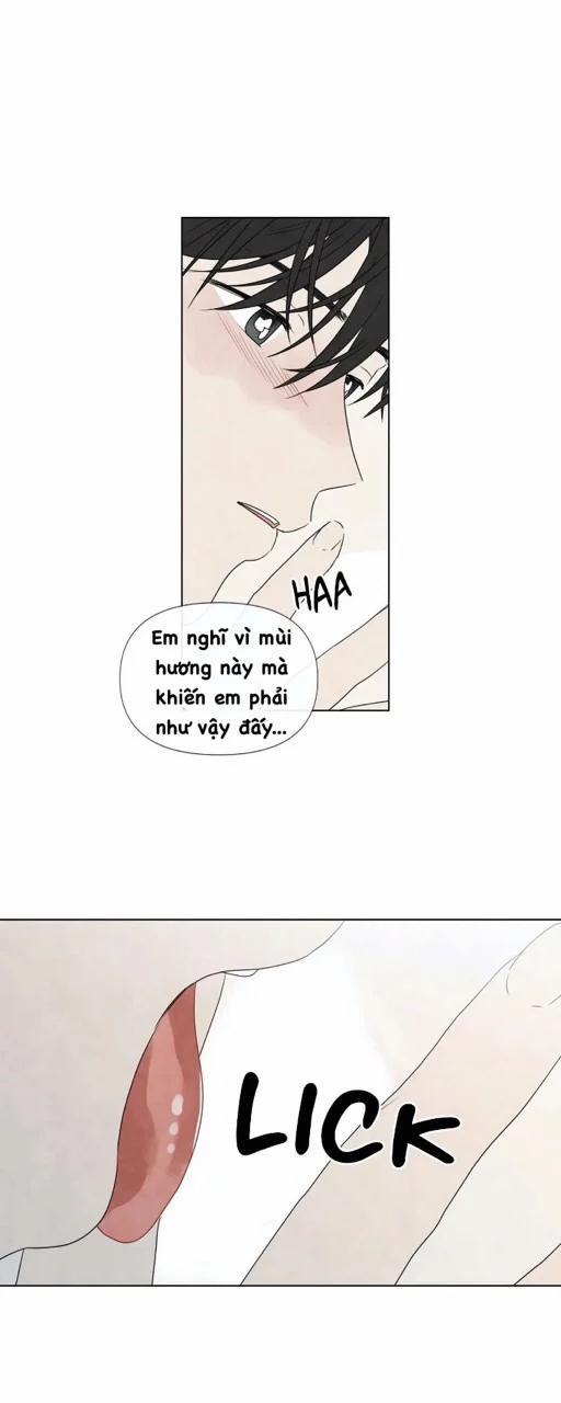 Summer Solstice Point 0 0 14 trang 9