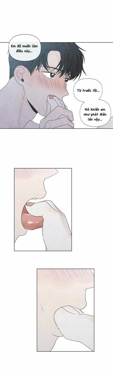 Summer Solstice Point 0 0 19 trang 19