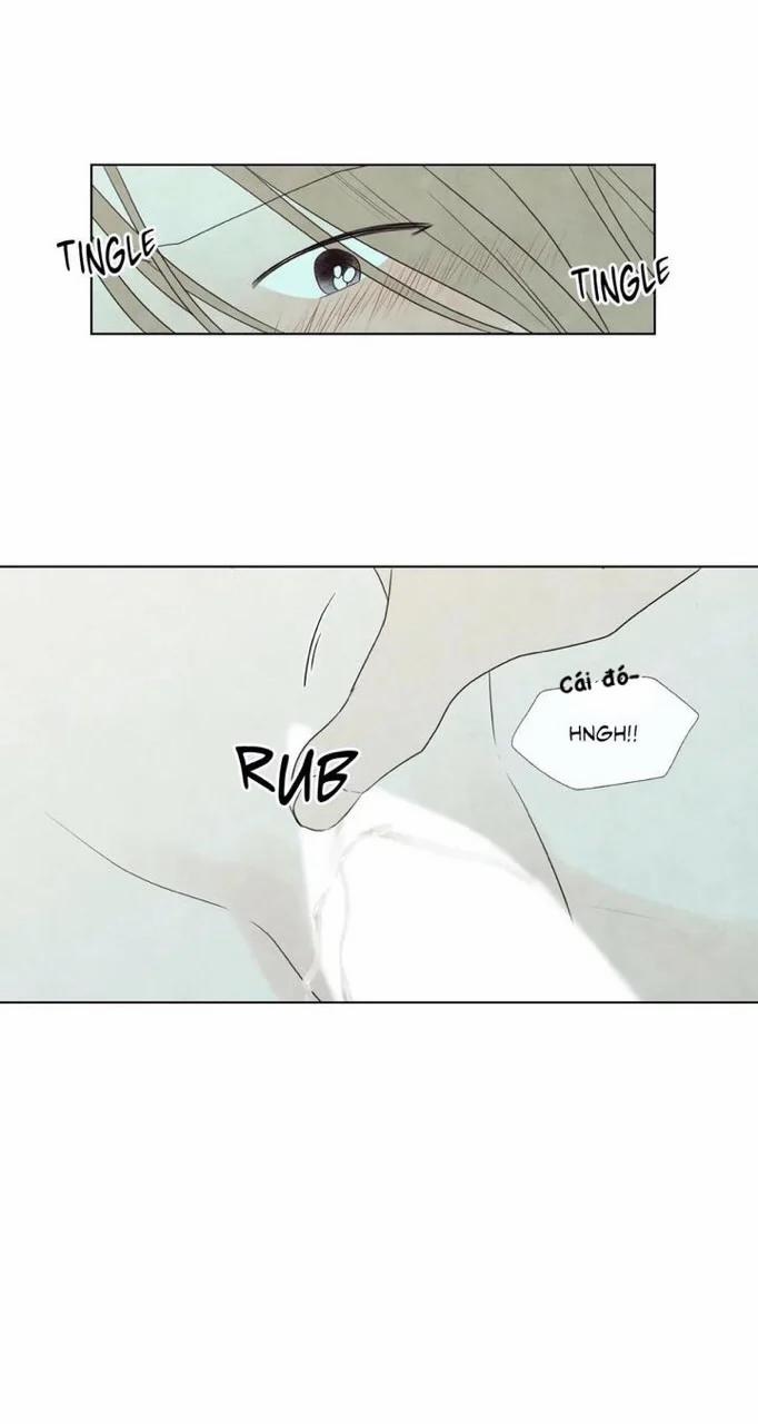 Summer Solstice Point 0 0 19 trang 42