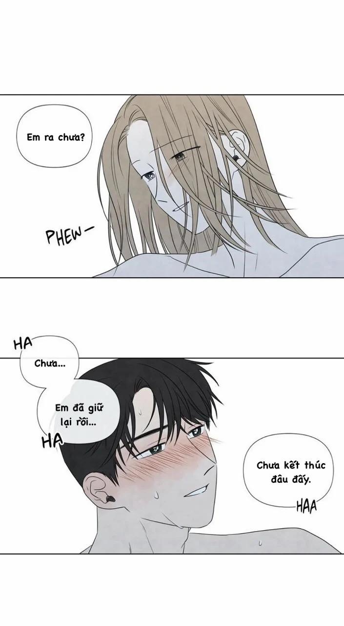 Summer Solstice Point 0 0 19 trang 49