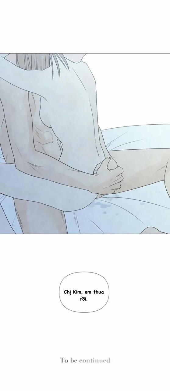 Summer Solstice Point 0 0 19 trang 54