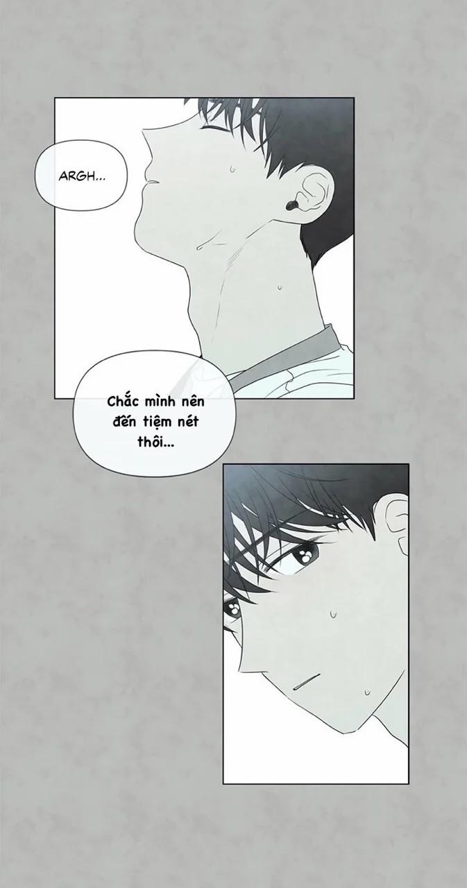 Summer Solstice Point 0 0 20 trang 11