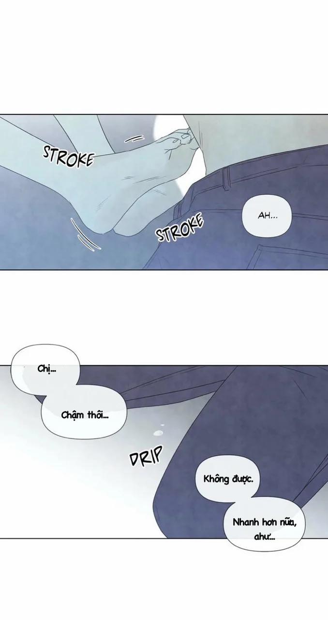 Summer Solstice Point 0 0 23 trang 10