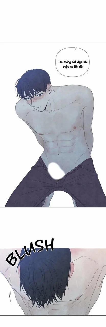 Summer Solstice Point 0 0 23 trang 2