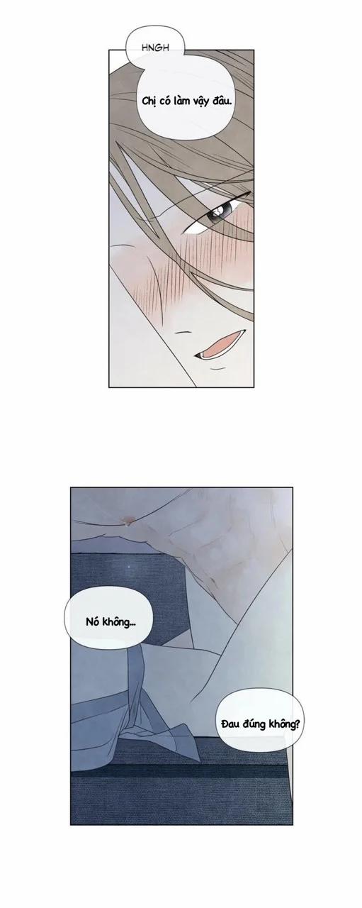 Summer Solstice Point 0 0 24 trang 5