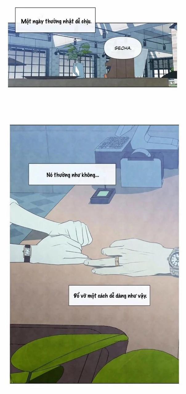 Summer Solstice Point 0 0 25 trang 17