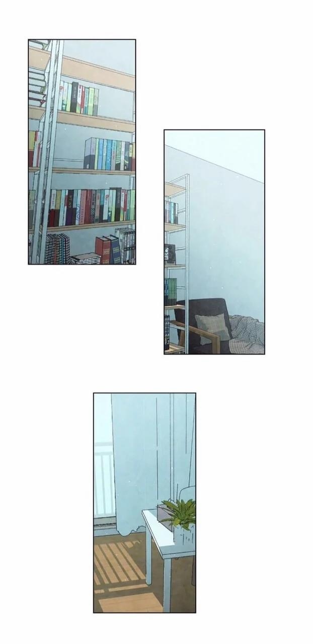 Summer Solstice Point 0 0 25 trang 2