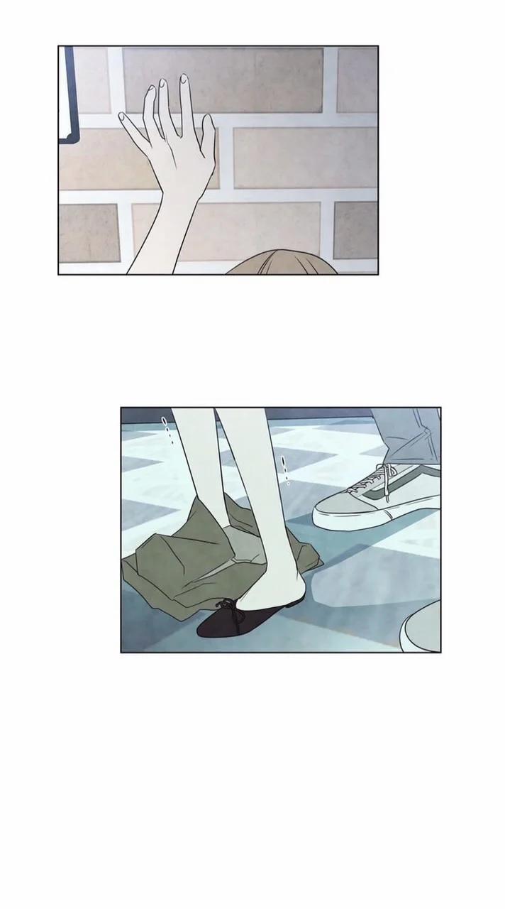 Summer Solstice Point 0 0 27 trang 8