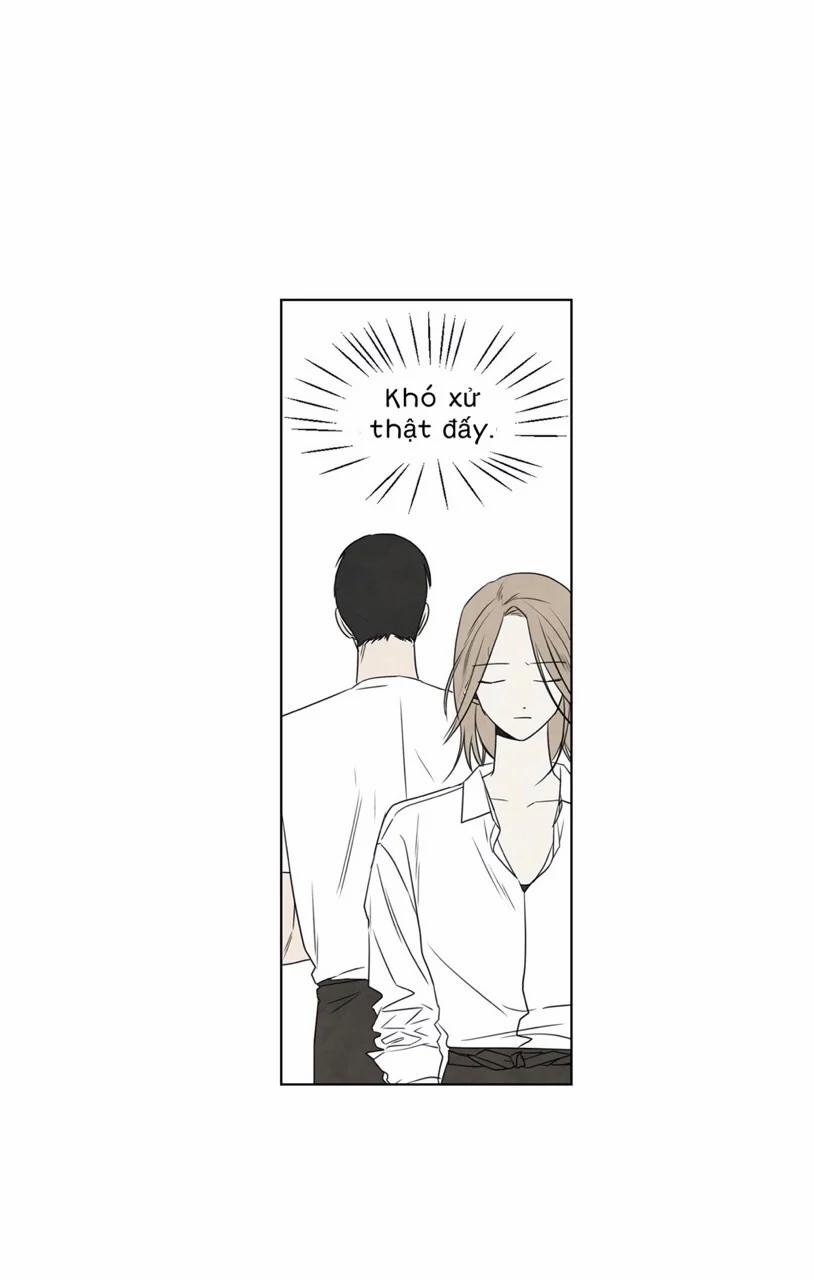 Summer Solstice Point 0 0 3 trang 17