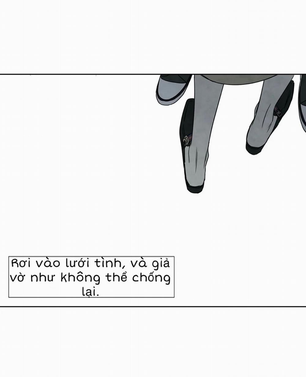 Summer Solstice Point 0 0 4 trang 59