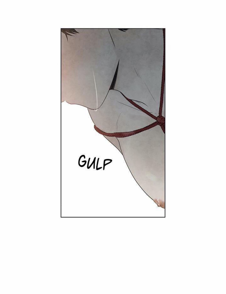 Summer Solstice Point 0 0 47 trang 26