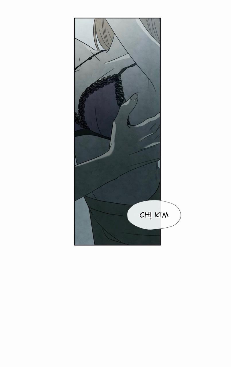 Summer Solstice Point 0 0 5 trang 28