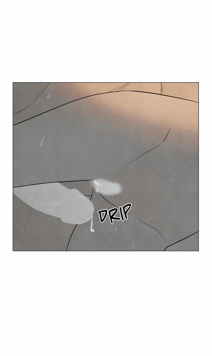 Summer Solstice Point 0 0 53 trang 46