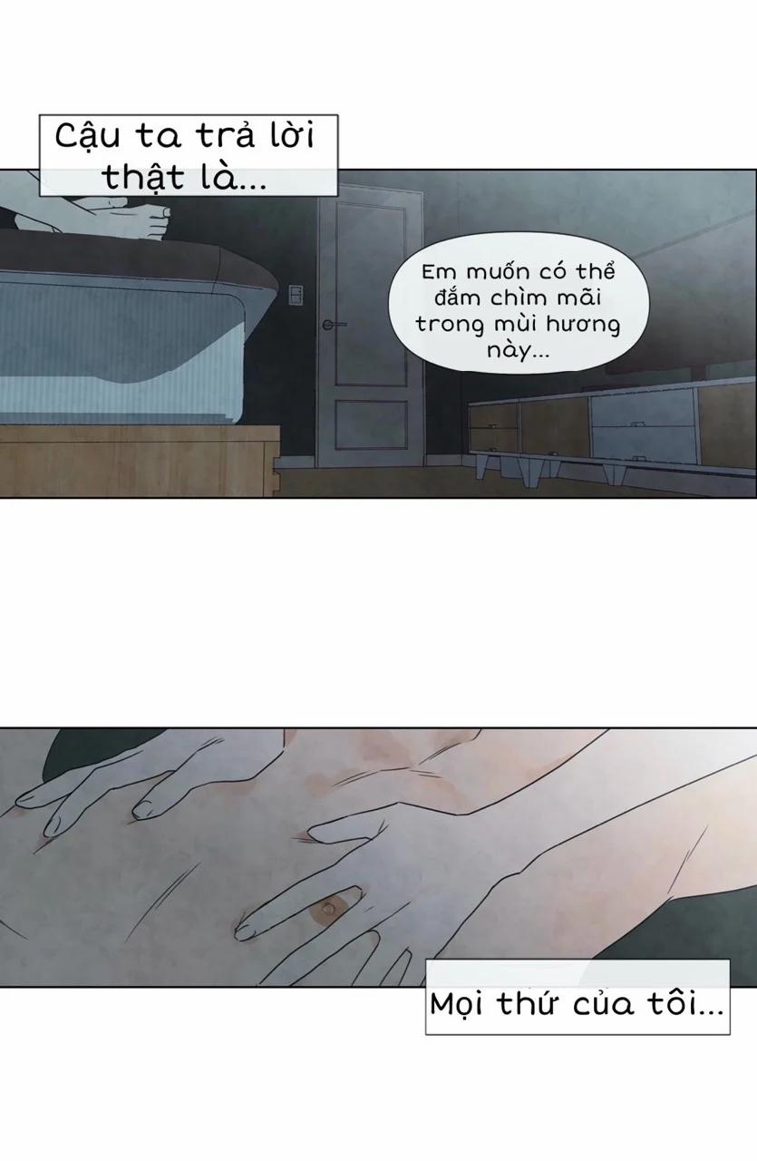 Summer Solstice Point 0 0 6 trang 20