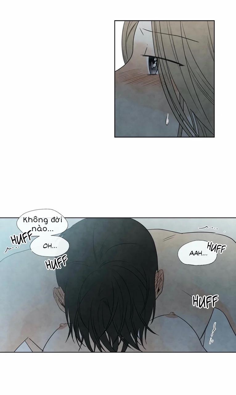 Summer Solstice Point 0 0 6 trang 38