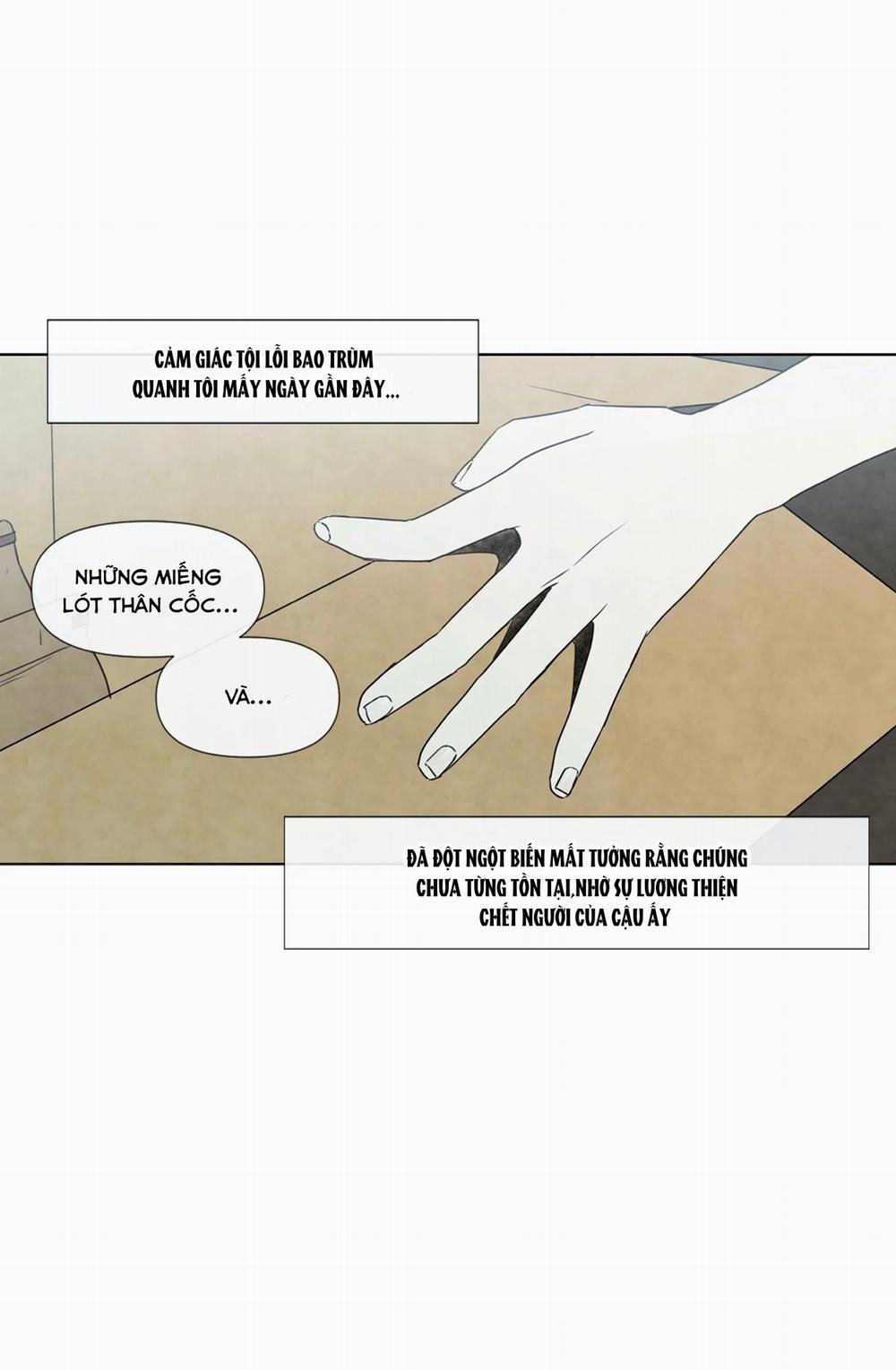 Summer Solstice Point 0 0 8 trang 3