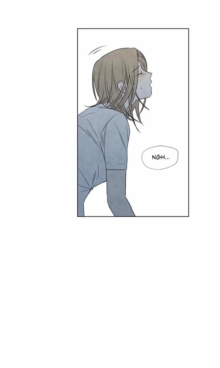 Summer Solstice Point 0 0 9 trang 5