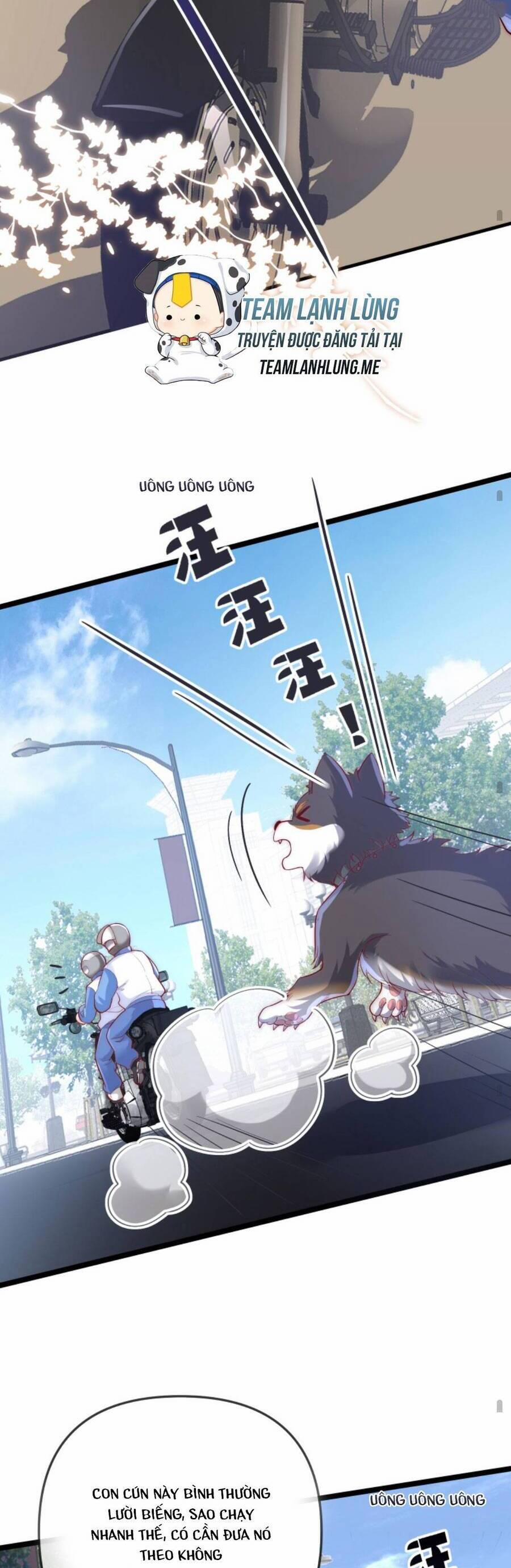 Sủng Bé Cá Koi 3 Tuổi Rưỡi 115 trang 13