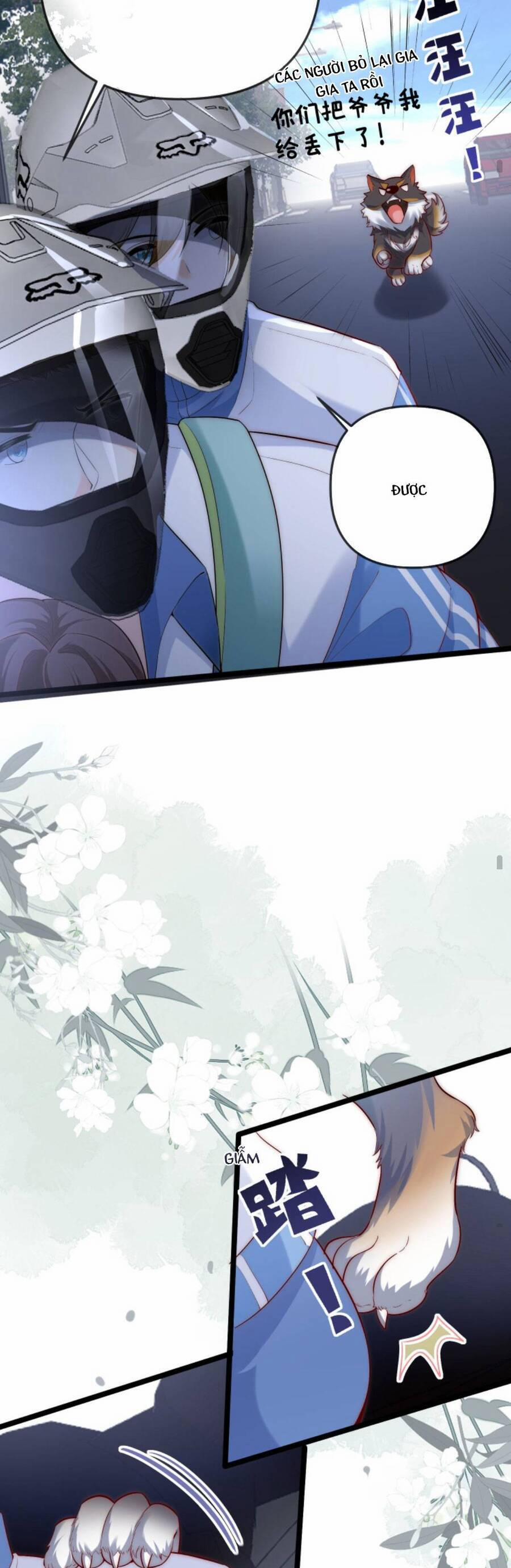 Sủng Bé Cá Koi 3 Tuổi Rưỡi 115 trang 14