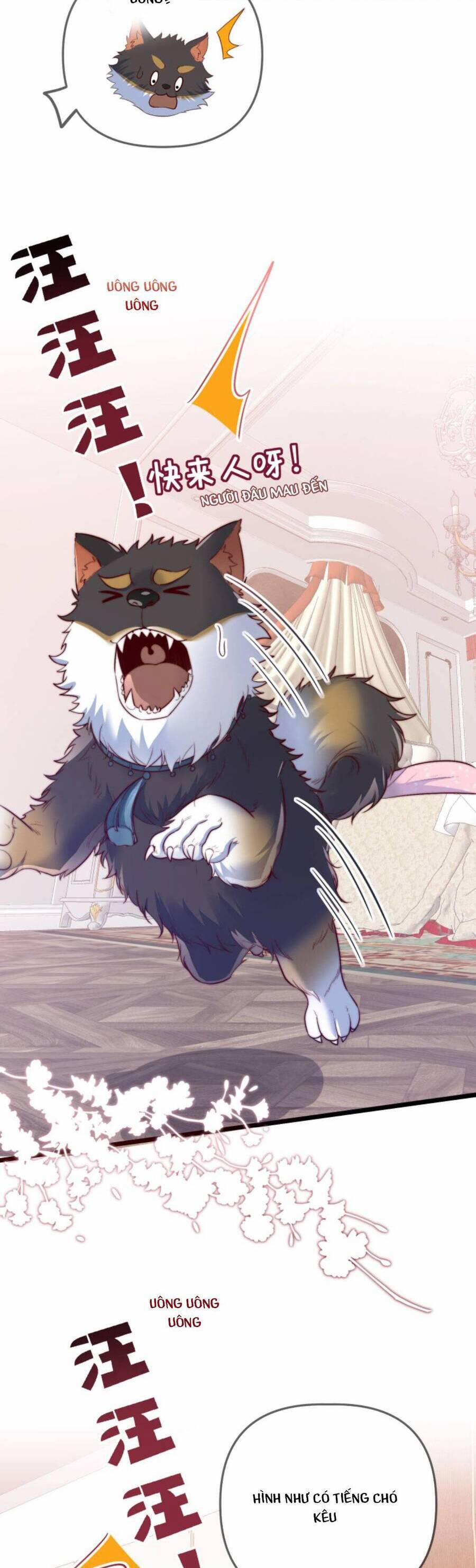 Sủng Bé Cá Koi 3 Tuổi Rưỡi 115 trang 5